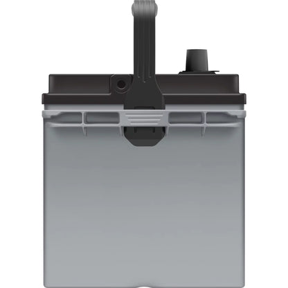 EverStart Platinum AGM Automotive Battery, Group Size 24F 12 Volt, 750 CCA - MadeInUSA